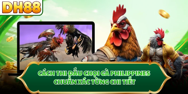 Cách thi đấu chọi gà Philippines chuẩn xác từng chi tiết