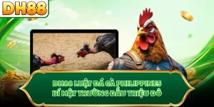 DH88 Luật Đá Gà Philippines - Bí Mật Trường Đấu Triệu Đô