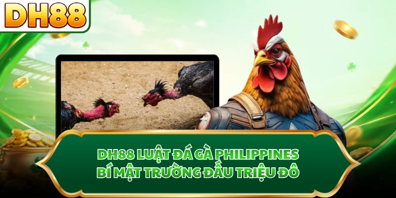 DH88 Luật Đá Gà Philippines - Bí Mật Trường Đấu Triệu Đô