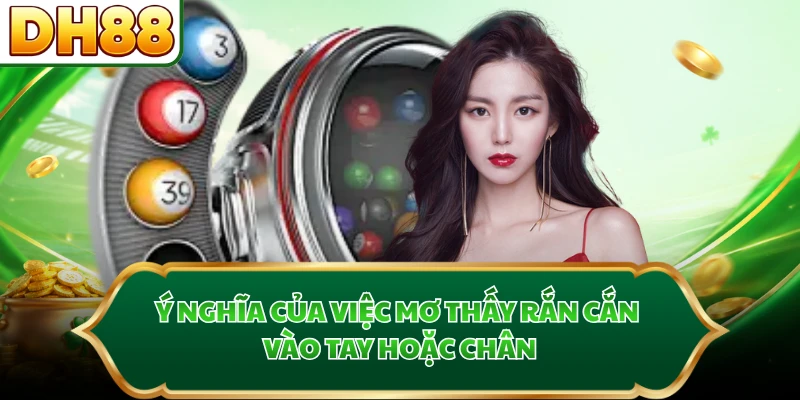 Ý nghĩa của việc mơ thấy rắn cắn vào tay hoặc chân